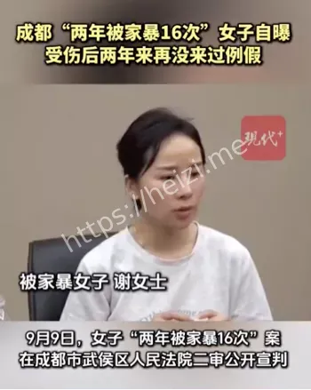 女子2年遭家暴16次案