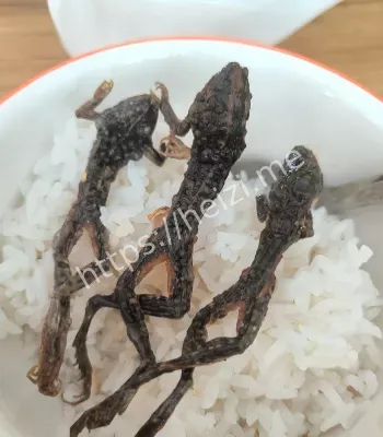 男子吃零食吃出整只壁虎