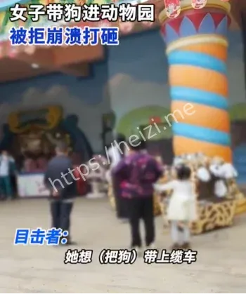 景区禁带宠物规则解读